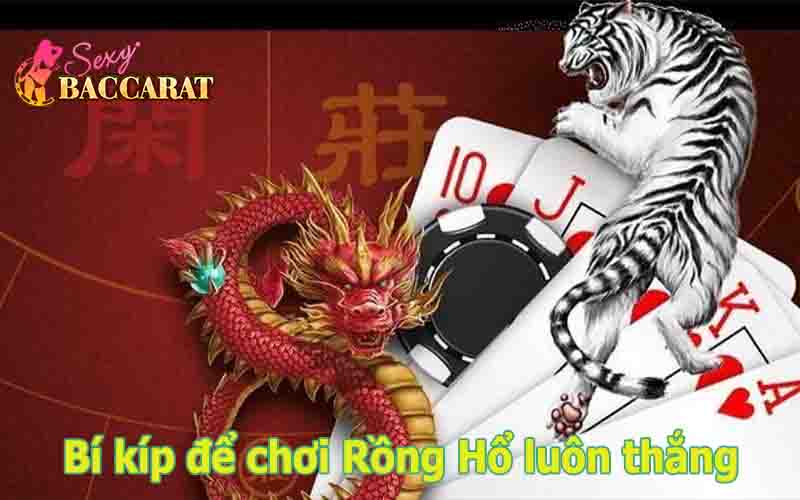 Bí kíp chơi Rồng Hổ bạn cần biết