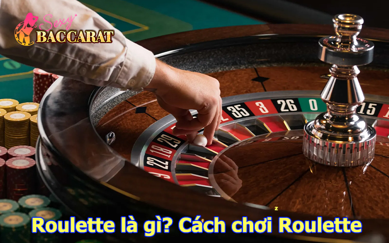 Roulette Mỹ và Roulette Châu Âu có sự khác biệt